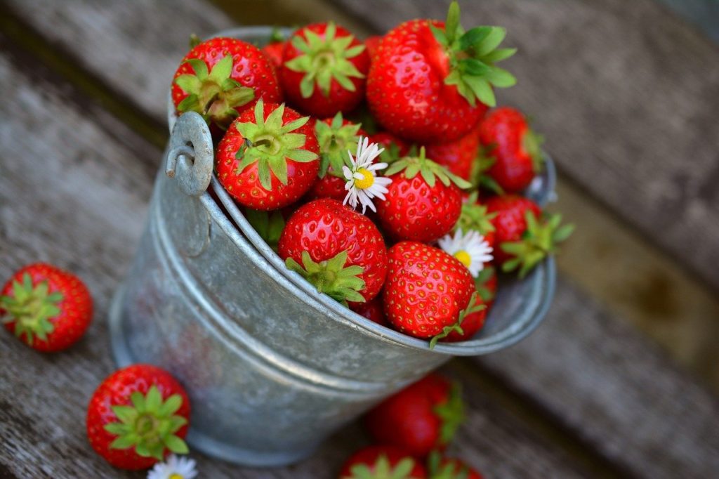 A bucket of strawberries on the ground